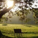 g2cb9c0d9acf4cb59b933f7fbcee0cb8879ca0adb98902410f21c9aa0bba7fd04cbd8f47bff59eb1850d80cce2709c6228e27c7531b2fd0504069214d98c9bd01_1280