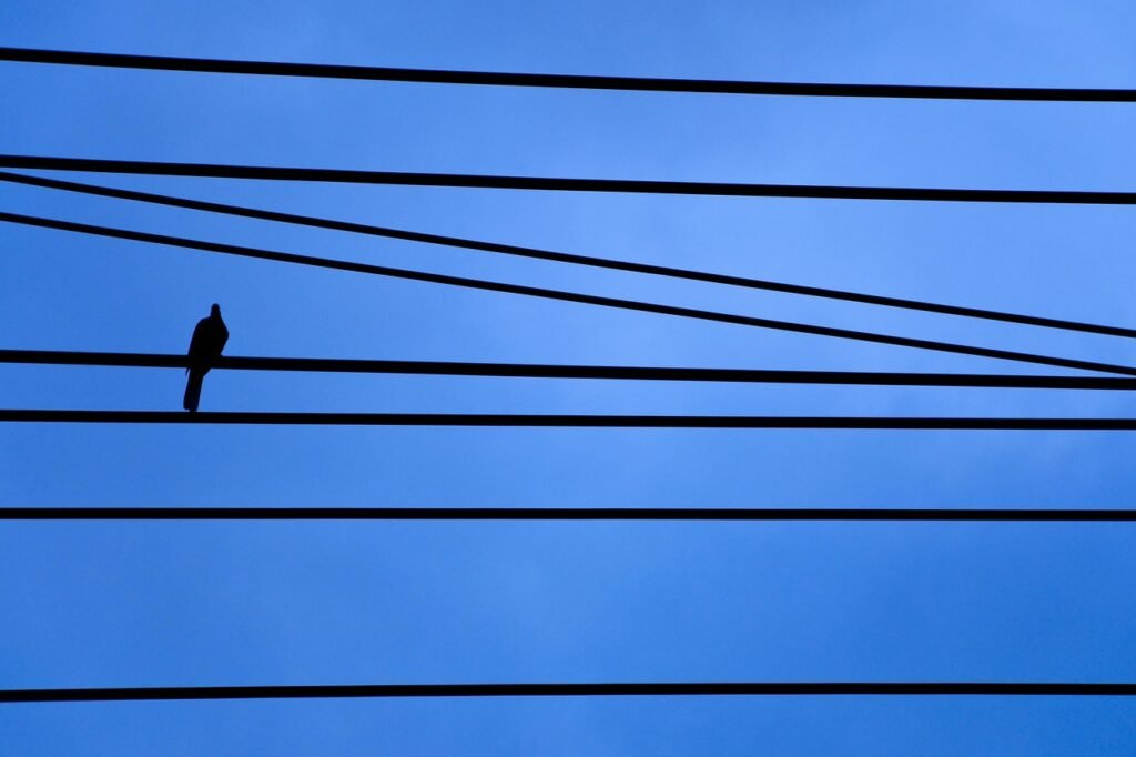 g2e20e4194d11ef7279dbf346b8263d8a6ffc1c9c8e6ceb48ca24b45495f1643197c4488881ee5fd58464380ae26d2d1b5d9c61898a2bfd10afbc9d383afa15cb_1280