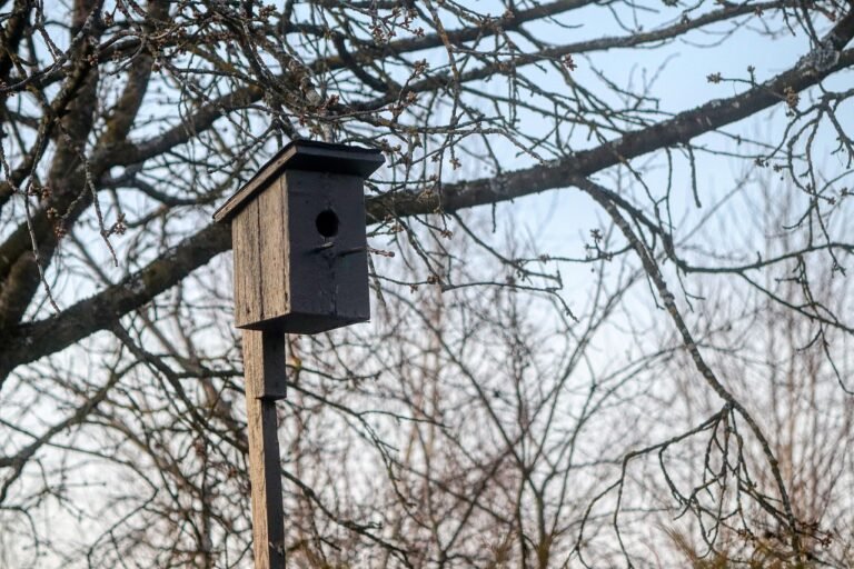 g21056ba4a41578104c21567ac8cd6eeda23a7e53bdc2e119d84d9923a620811b95798d3684264a214a3de9ff7ae9699c994d4c809a53ae55c7b686be1ca6d6e0_1280