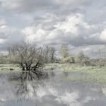 g4800562c84274ed4244c9355224e0d0c04c6cac6ebc1069b5839c5b5b284e146fd788d98f245d5e95beb0d0c58da637bf2895bc295add2629ec804450f5b9cb7_1280