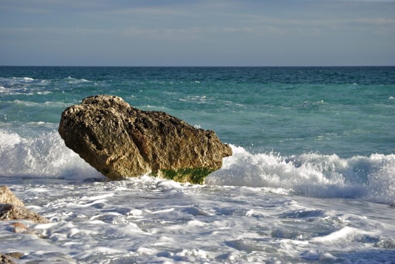 g6eefc202a3fd4379fdb282205cf9eb50620d6ceef33d44fc168efc10e161cb5b71391200b83f0d34ee74489ad9643cef65fbec1af317d7615cdb14111954b99f_1280