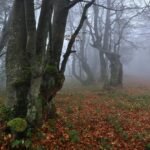 g76cd848069de670d42ce12a50d33bf0839eb835e2a5dfc24915a5ef635d9a7cead2419813b1440d05d8a30f209e8515e5483ae8e22f34d6075453e9e0fe27f07_1280