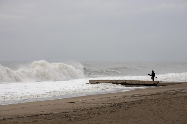 g8c99d93544ff2b1bedbc9cff951dd097c2687257943c15af56b125cdc9b12f29c89bb6c17f501533d0e7b2138c75d870b0829caf9a5d358e78ff1929d5106e6c_1280