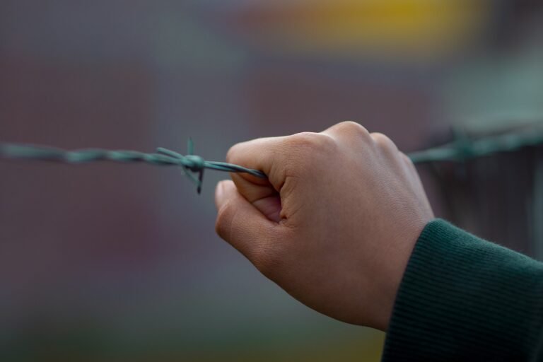 g22c0dbcb9e73951f116a664c8e18639b1330359f06156263239d9256cccb80174bdd85926797a7d40676a0ab5e023fbbc0c5157b009c8c3c62dcb1b4430c852f_1280