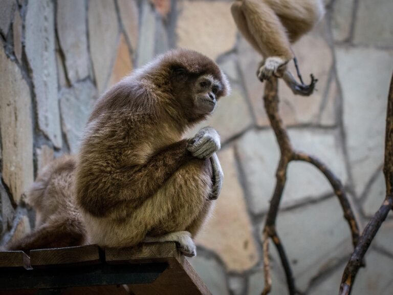 g7eb998c9959096dc0203493fb34529a9730232513d6b8067f5495038e77f8cc2db1ff765cf7fc2999758bed1b9660fda7187dfd174a13cc3b0d551d011463a09_1280