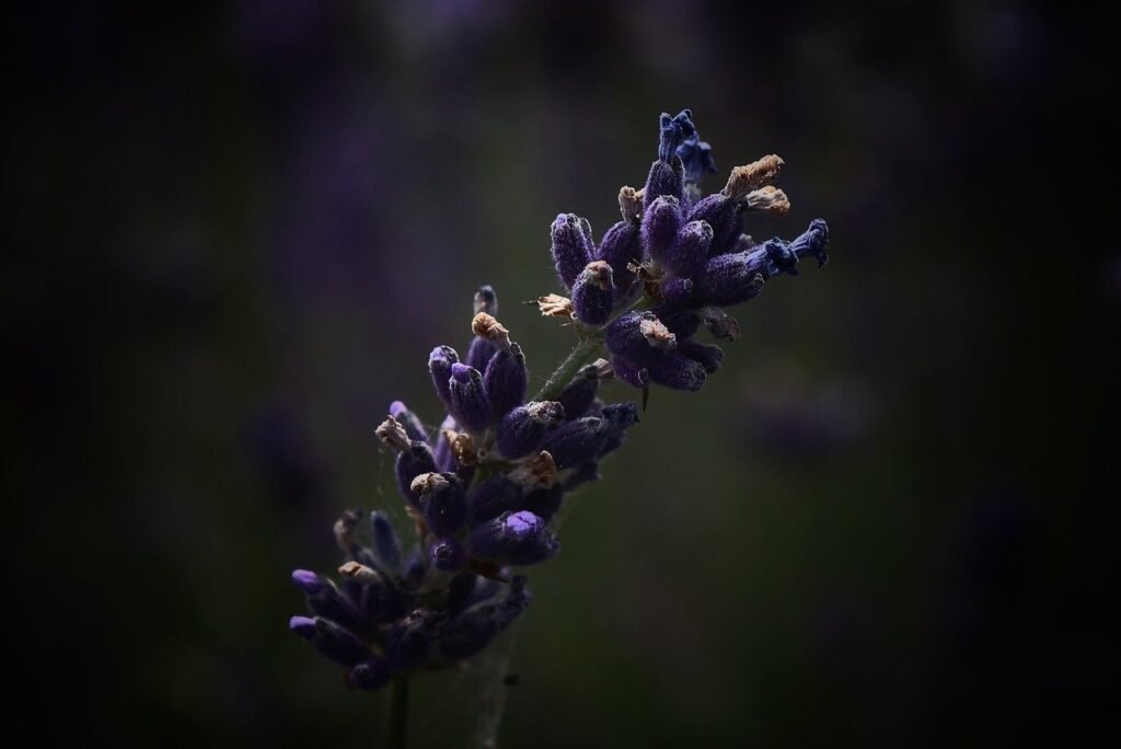 g9ac9ef321b7f03cdd462d5b7917a8267f3628e0f54948e425d5c5603d45673a8eb7e4d03f94d35f102f571648d5b18f03e0fb0ade1921847a847eb2b8ae0ef65_1280