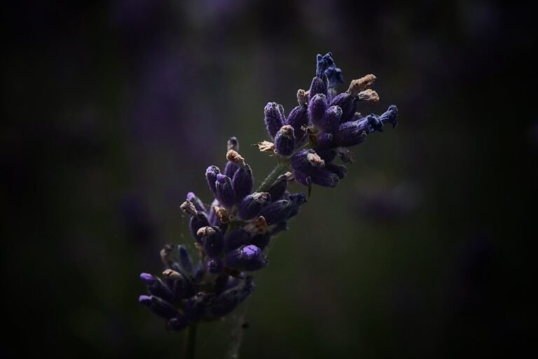 g9ac9ef321b7f03cdd462d5b7917a8267f3628e0f54948e425d5c5603d45673a8eb7e4d03f94d35f102f571648d5b18f03e0fb0ade1921847a847eb2b8ae0ef65_1280