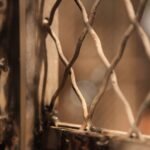 ga50bf11c6fa00268275e2625e6d51ce2f8e2f185f17ec03b65a34ed197e782fc460f7918c51bd74452ba6925b17fd695b2f47b96a6451c7e31234b2892d5105d_1280