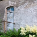 geb3ca734916ed548dbaf08c890b6f9034097fc39074a78f206ea1bc67172779a8128cec19647e1f0cdf9677b463e150417c822570b9b2350ed9bb1a962f74385_1280