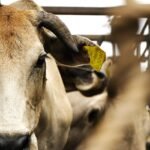 g4f289b02a33e04ccf6fe68a939325aee15ba7aae7cba083c257cefd4ab776cfd4611b7dd21968afbde1a9fff2ee81bd3614a65edde337e471927d2ee713e7b6f_1280