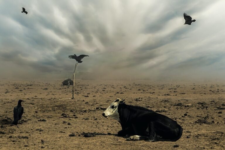 gc31c4836c92f039c745b48eb21ade5b7d3ecce8eff17cbbcd4e66def03e62e58fc22c2dc6837574fb9c98e4fc120f849bd2b69a526070982e56fb3d6dc2ac435_1280