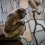 g29d2923b2db415563ec693b198fad4de6a3b55f1610eacbbe263034ba7ccde7b54c2f6f3cdc0d4e54b25c04e2b06105e47d8171ae46a38ed698e784d9560add5_1280