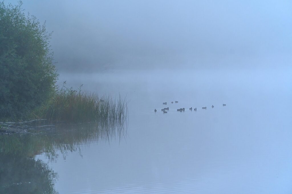 g418a435578f7d46c18b433dfbbfd2d27215d1010f3ce944eee885cce8868e5034e74a5866253e02b36ecfa42faf79a51bd967144a50ee695f590ba51e8ec20ec_1280