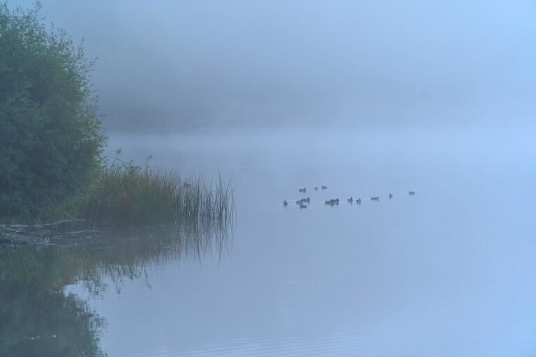 g418a435578f7d46c18b433dfbbfd2d27215d1010f3ce944eee885cce8868e5034e74a5866253e02b36ecfa42faf79a51bd967144a50ee695f590ba51e8ec20ec_1280