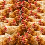 g462e48410a5c3f766d2f33f4c6e77026de535b971cade9f0a89ea7ab49f1e3f32deb6ea426bfca309663d6fd569bae5add66a75de5250fbd09c6fab09a39f25f_1280