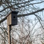 g49a2230adb08501eb309a5a2599e5b3e0525313acfeb25852267e1df9bf729fed85e9a4028e43f803555136313d1d005b8107b7433102a496f0bedc146659909_1280