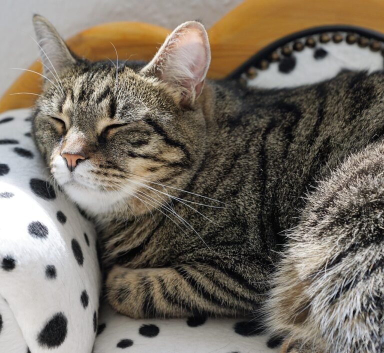 g5600a8d54db976ab0b5172fe872a20129133879a391d78d740515c95969f4a8d2d56c7770430524511b510b310d7fe6cd211e442587de45606425b9788d8eb6a_1280