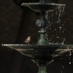 g5a0110edd9f24269239d408e058f93aa565205898a5d945790177251f1b064f4c7afb021924cf7a13edbd2aded03497c6cd40457f22a06e5ab761d8e0c4037a2_1280