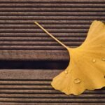 g81f91277b8da3497f0cdafab4a8166b8013ca1687e4d9866190266f3b6325d831f7bb291104bcea50f26080afef56cface24057546f65ce1a304ad4de53c7e0c_1280