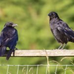 gb1b4a70735b27ad1f700209b1fa4a121ed6009165915ac65ac88bdc2bdebfc1e5ad72a1d11ebc5e4161edc802c02e0bf8fb50e4654106008c6d5bb2afc8caf0b_1280