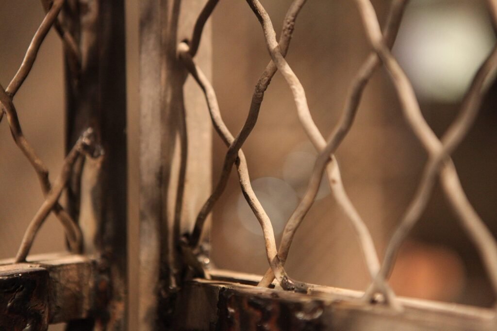 gce6aa184f8f65c05a2f00305a2dd08c930bff54460ce270e1422c3237bd7018e164bfc5d51749e9aa31659529fd5565d2bd9208e147e7a996aa821a5847cb780_1280