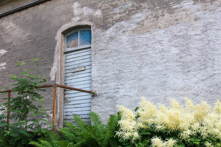 geffc7c6453b284b334095d3a34afddd9ec74fb9be023e993c932e35a7fc29c8f100fc0128123fa64c8471e401383765d3ae6983162eb87c7a8e500067f82a2d1_1280