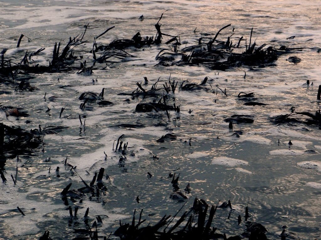 gf224ee98a1e3304bb9c9e0c9ba98af94d28e317c9bba0accee8fe0d2ba2c00c1a9fcdb04712f5b7a15be92d1b590c7beb780c8b7c56ff788b6fb256fb693d9fd_1280