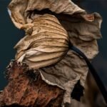 g08a465df5454f2bb179cb500d41ba83e1b092935b7f1c1a511be84c6d8084ad1d3e4b8319d4417246553435dfefd766e95811558084265d6cdd0e1ce41faa94e_1280