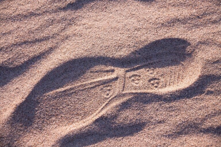 g15fc00501d1dde87cc42a550531a157560450c12221f19f0c98bcf5a7e58c7b6b506a74bbcc290c2f8db6be151b108c61a3cdc846089c83e962e760c535704bc_1280