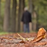 g80ddbc9e111d45e83ab9f4dd92851ce4a1c44d22402039fc30ea1da84566c4f47578e8504aa9bf0b1e8c1980c3329ff69c84284350406c36082a5b542e0b7118_1280