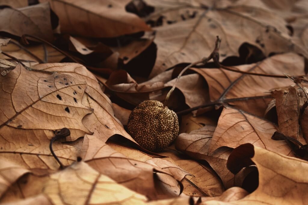 g9de9239bfecb4cd96751ce76d314e9ea6ce1b9332c9c3855829498f983aa2fceba9766a25e6854a1e9d8be783f472010fb1bc15ae141d0d6b0d1435c40b9b28b_1280