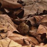 g9de9239bfecb4cd96751ce76d314e9ea6ce1b9332c9c3855829498f983aa2fceba9766a25e6854a1e9d8be783f472010fb1bc15ae141d0d6b0d1435c40b9b28b_1280