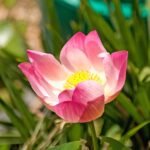 g3ea9e3f0afee536be065cb3cff72d91dcbbf3f62f3ed3623b594a1bef81a95548440c19d2dd76ca952ae1ef363e70f385f1567c52d4c735046a38476949def85_1280