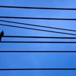 g67458a72875e667ff882ef2bfe41fb4ee2851ed04490bf6f1980301cd30d3af3310b94ae2c0eb908f4a0cbe73ea42be3b2389856f5d9c1a974a69c137c09cc0e_1280