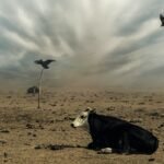 g994a12925903aca86bce6036e52281ef94146e0438e06d908980ffbe38123816df7fbadf28d85de57010bbe400a64443e78a8af440f2804d90f7321e621e9fd3_1280