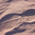 gb03071941b41cc2db6923556787eff43aa96bb6ccbb5342cbb0b2b93c2f59d8357d1143f46f306af00f49374f581d807d988d2c3188dc01f89c5765fb3260f30_1280