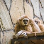 g45fc7d6e311238c4cfd3962572d3e6a2093107208b386edc989d75709c00de911152a5c4740bc649487839802971f96117891dbc1fa35ef9410ae5846a248fd8_1280